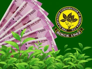 Government approves salary revision for Plantation Corporation employees