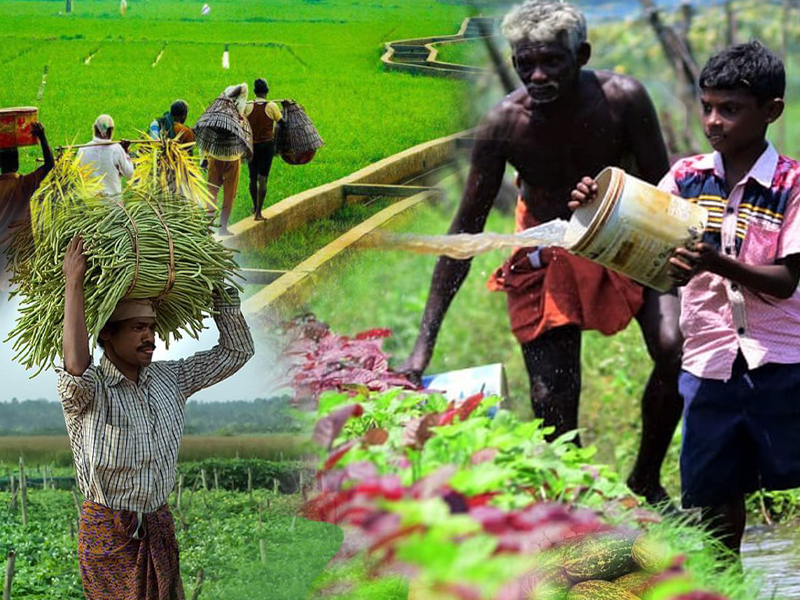 Many services and support activities are being conducted by the government for the farmers