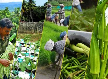 Organic Agriculture Mission for promotion of organic agriculture; The aim is to protect the environment and ensure farmers' income