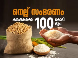 The state government has allocated Rs 100 crore for paddy procurement.