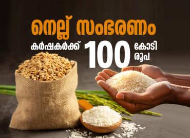 The state government has allocated Rs 100 crore for paddy procurement.