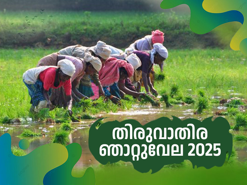 Njattuvela markets and farmer's councils will be organized across the state for Thiruvathira Njattuvela