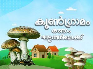 'Comprehensive Mushroom Village Project' enters second phase