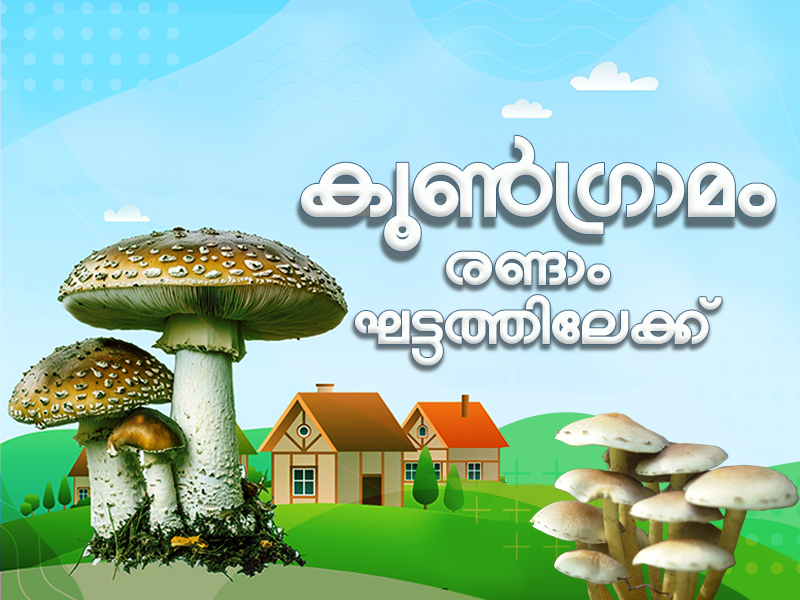 'Comprehensive Mushroom Village Project' enters second phase