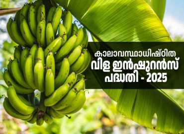 Climate-Based Crop Insurance Scheme -2025 First Crop: Farmers can apply