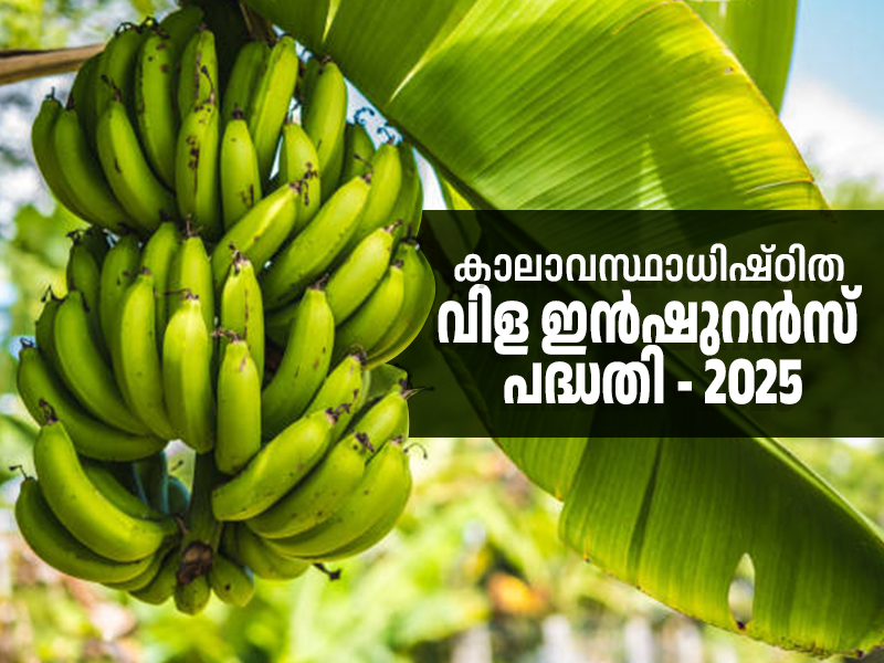 Climate-Based Crop Insurance Scheme -2025 First Crop: Farmers can apply