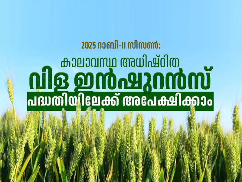 Crop insurance deadline extended to January 15