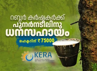 Kera Project: Financial assistance for replanting rubber farmers