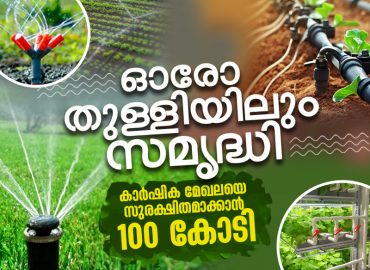 Prosperity in every drop: Kerala gears up for agricultural revolution through micro-irrigation